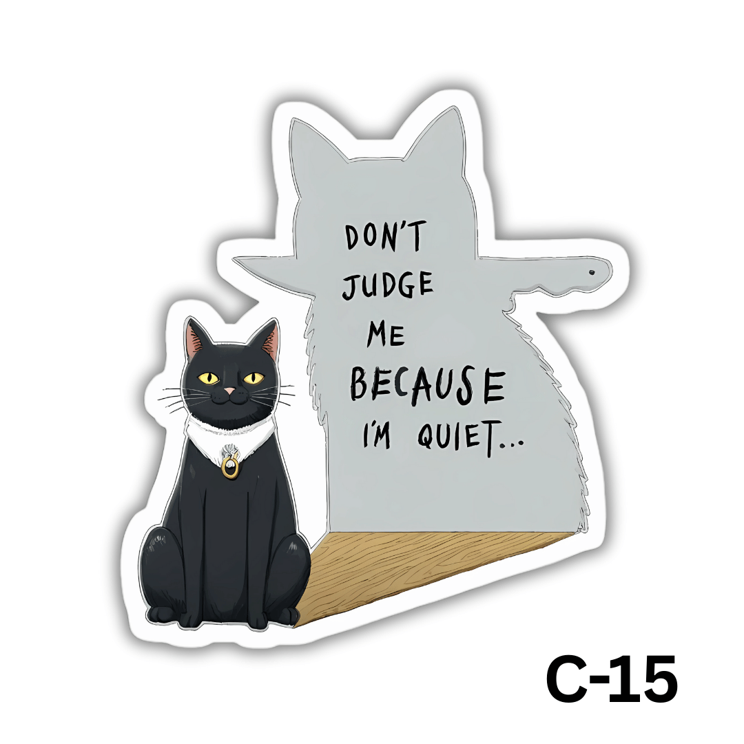 Don't judge me because i'm quiet(C-15)