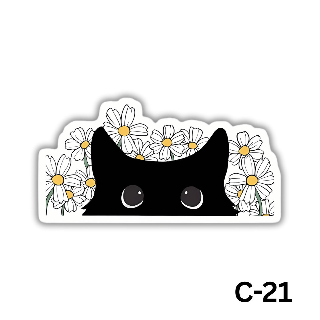 Black Cat(C-21)