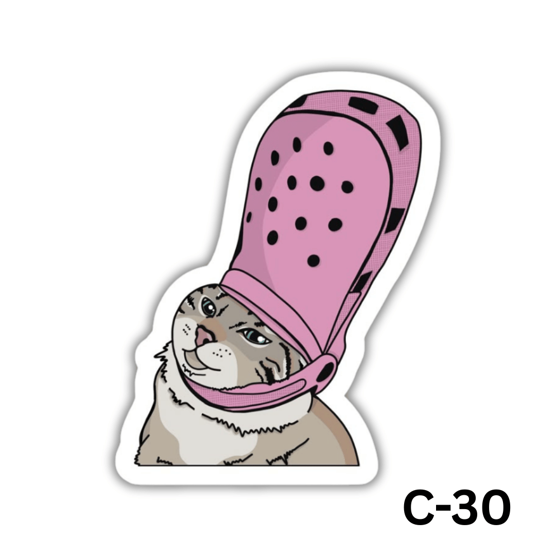 Cat Crocs(C-30)