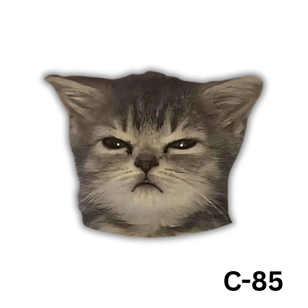 Angry Cat(C-85)