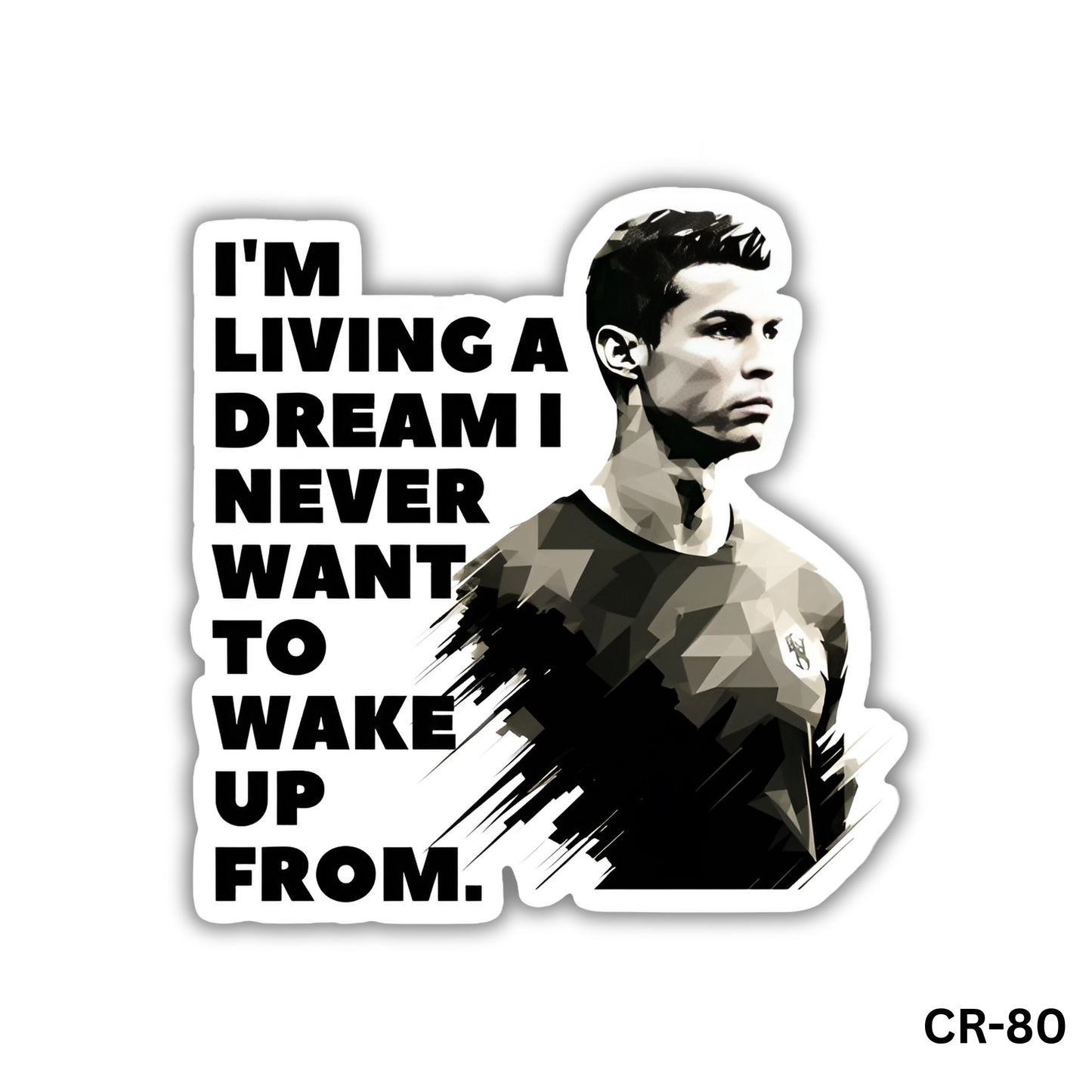 I'm living a dream i never want to wake up from(CR-80)