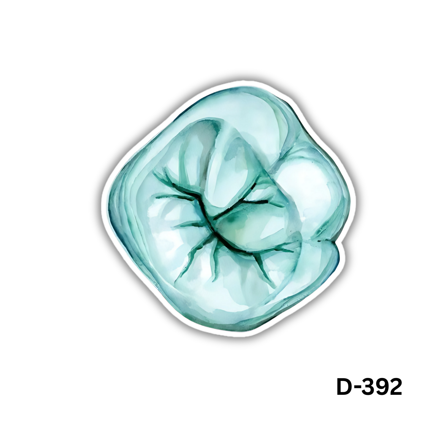 Lower 6 anatomy sticker(D-392)