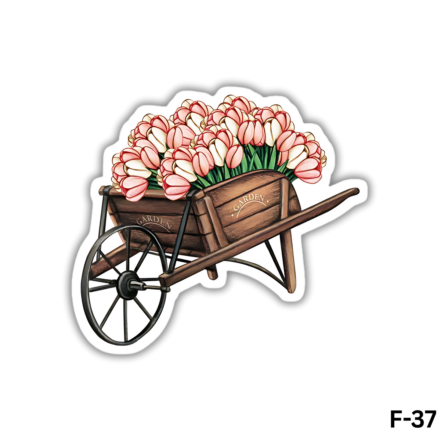 Wheelbarrow with White and Pink Tulips(F-37)
