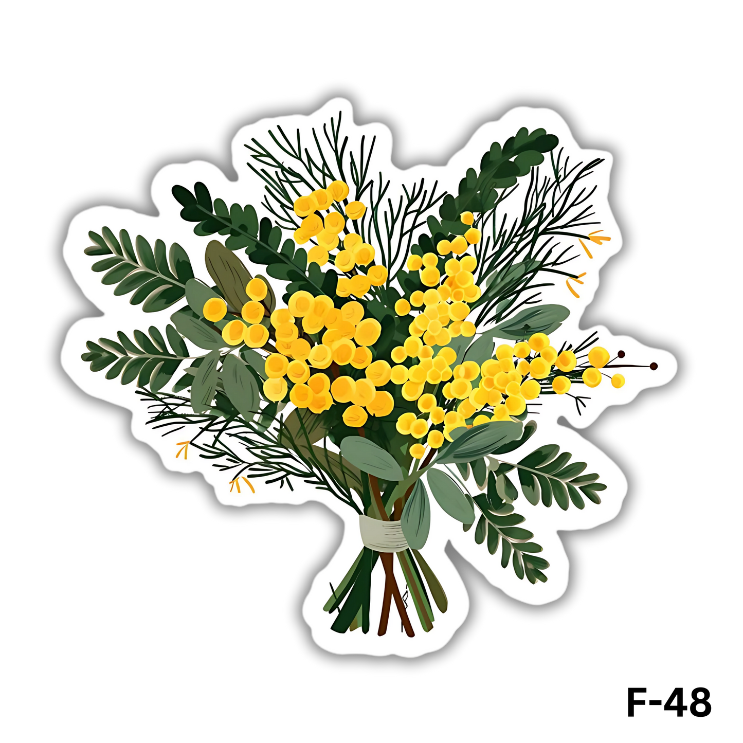 Mimosa pudica Flower Bouquet(F-48)