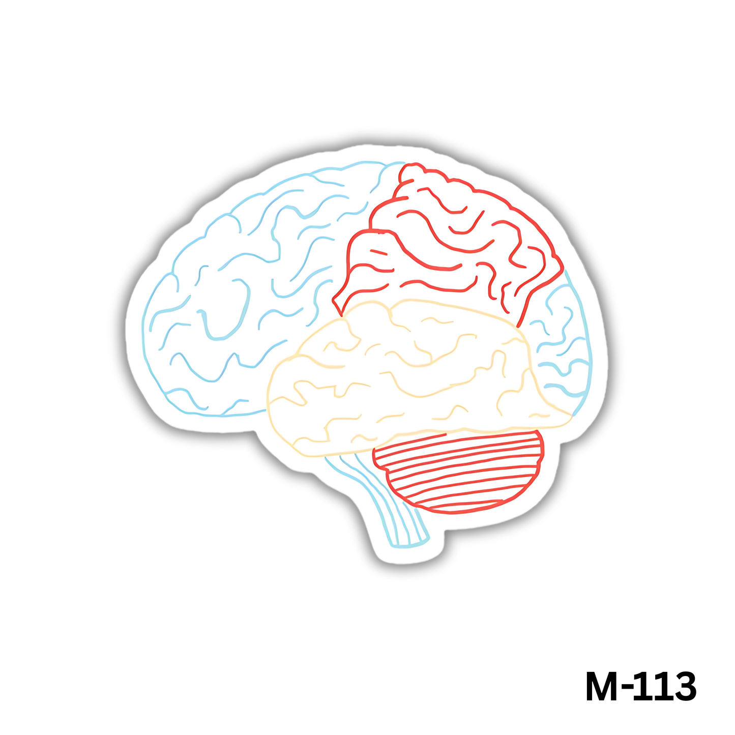 Brain(M-113)
