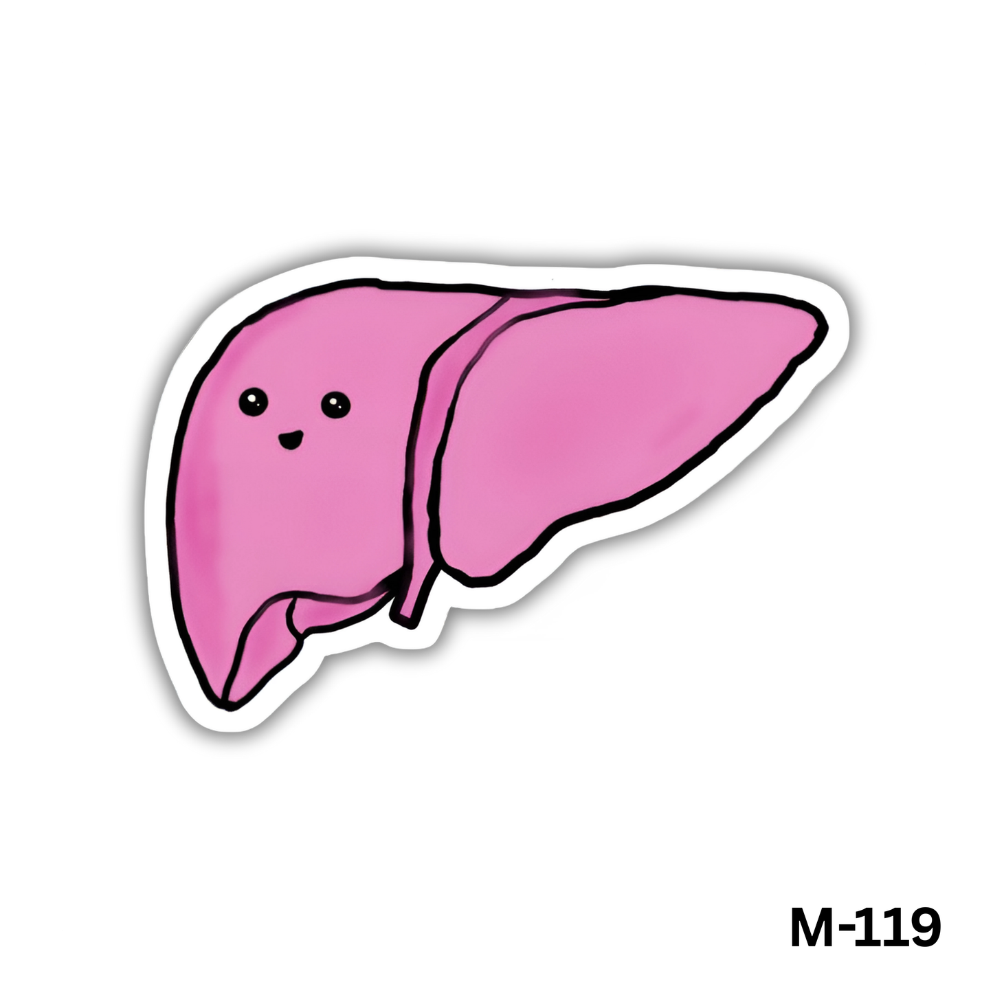 Liver(M-119)