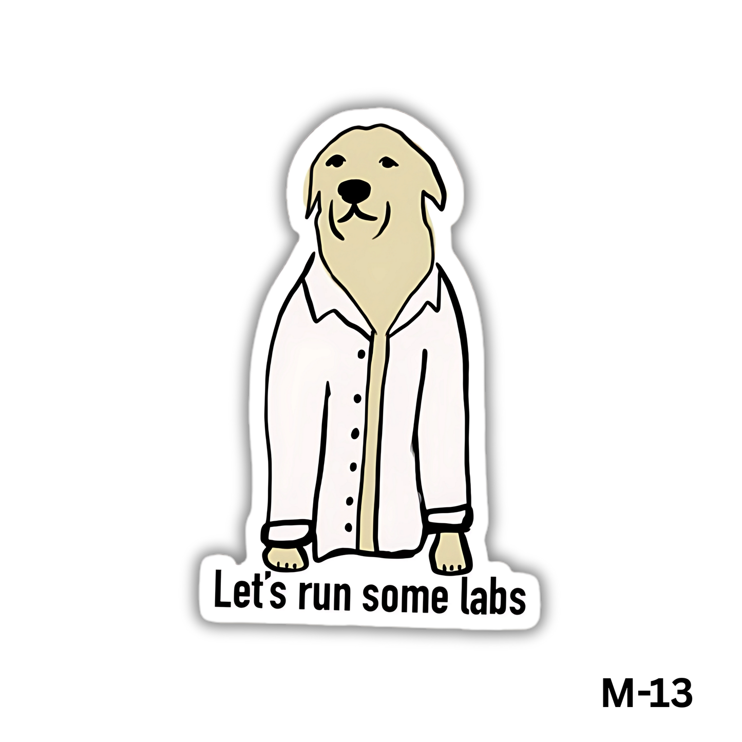 Let's Run some labs(M-13)