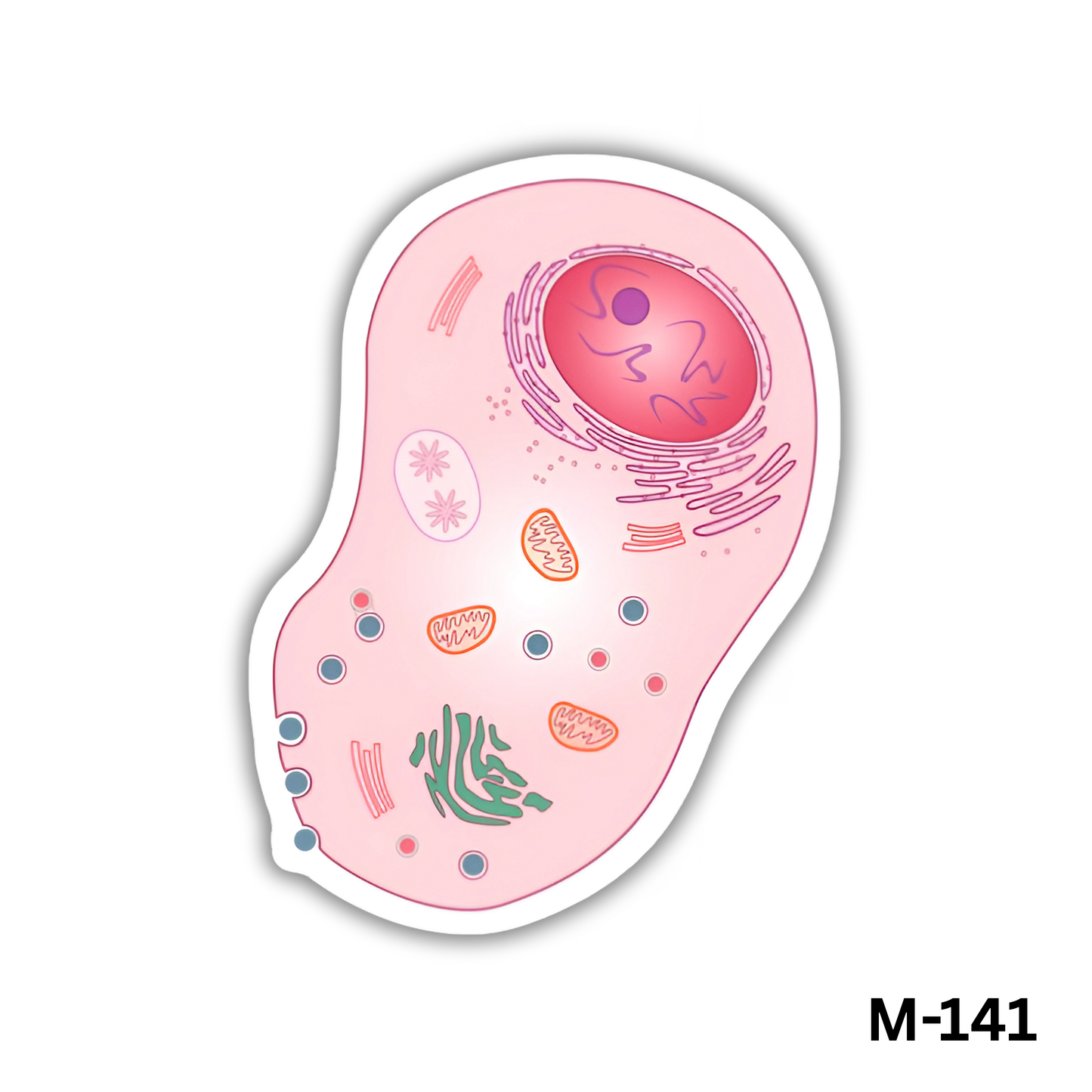 Animal Cell(M-141)