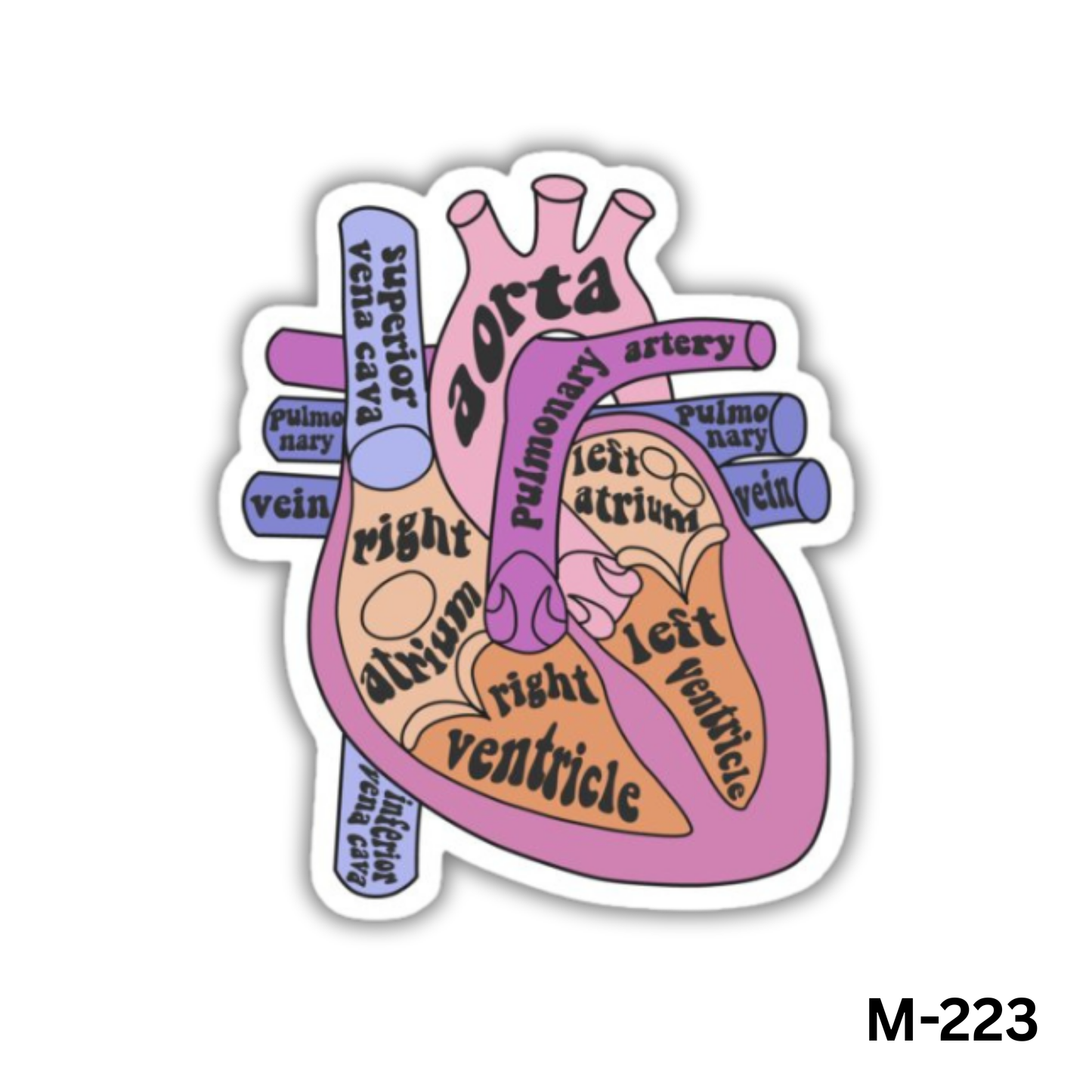 Labelled heart(M-223)