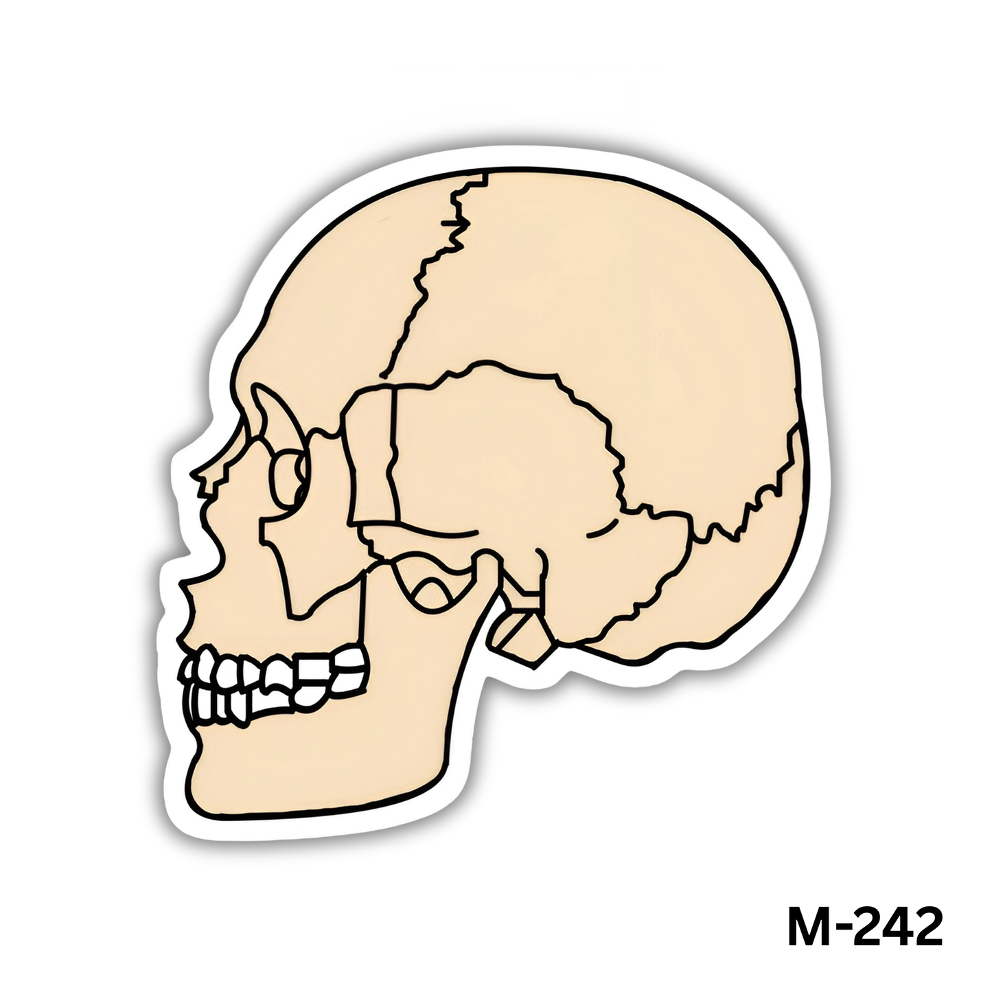 Skull Bones(M-242)