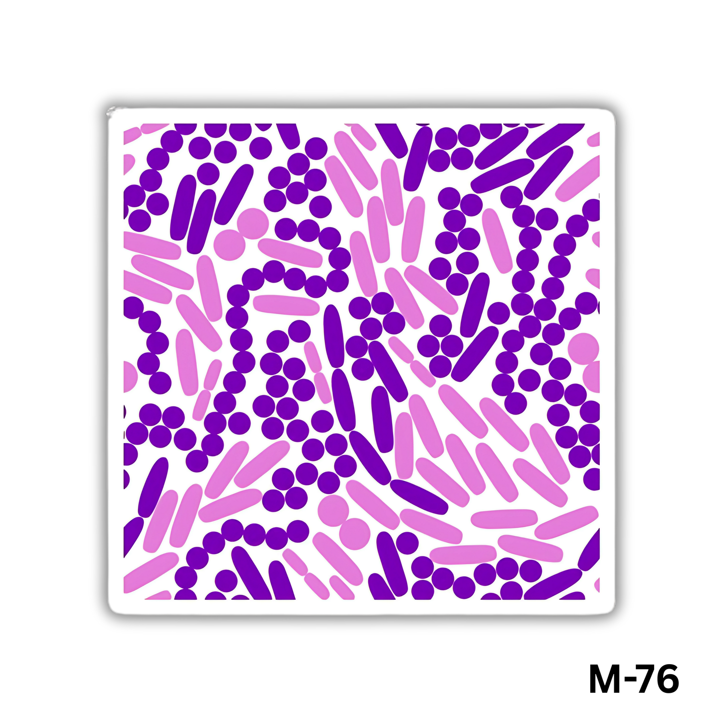 Gram stain(M-76)