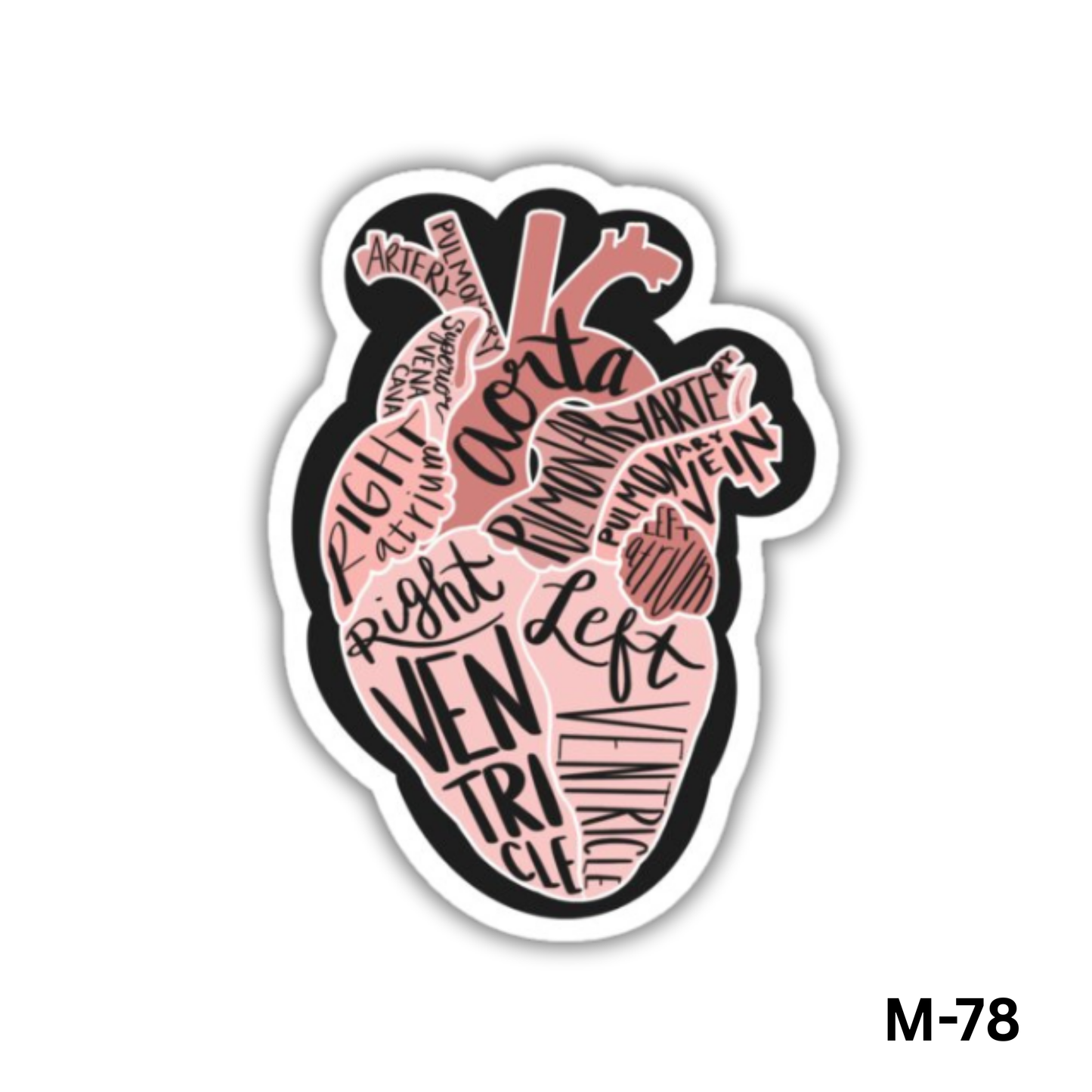 Labeled heart(M-78)