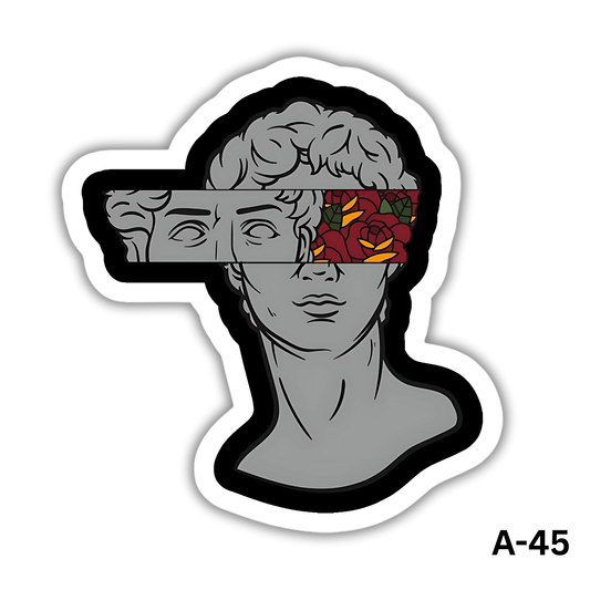 Michelangelo's David(A-45)