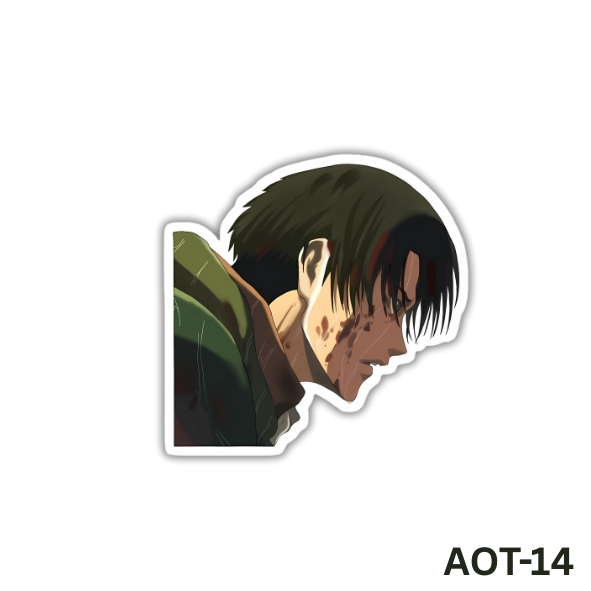 Levi Ackerman (AOT-14)