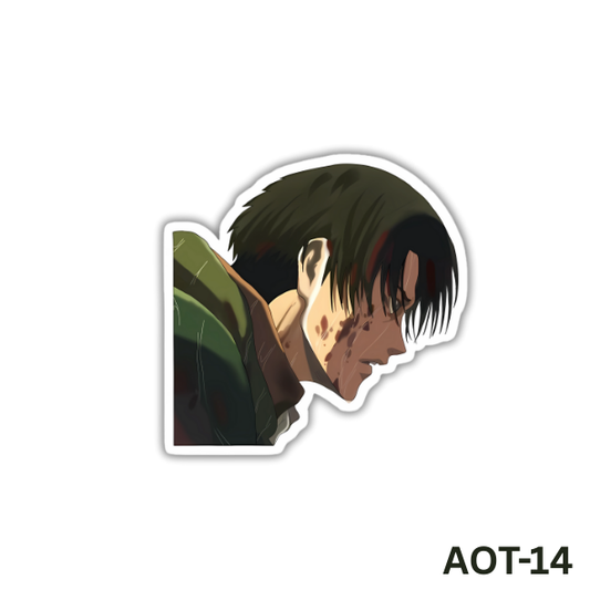 Levi Ackerman (AOT-14)