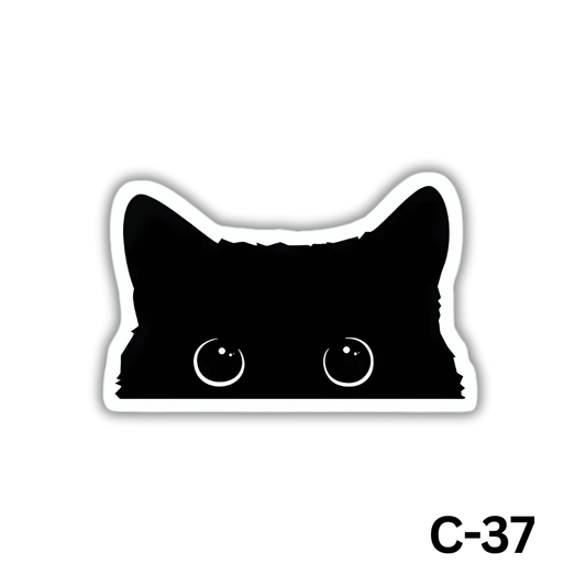 Kitty eyes(C-37)