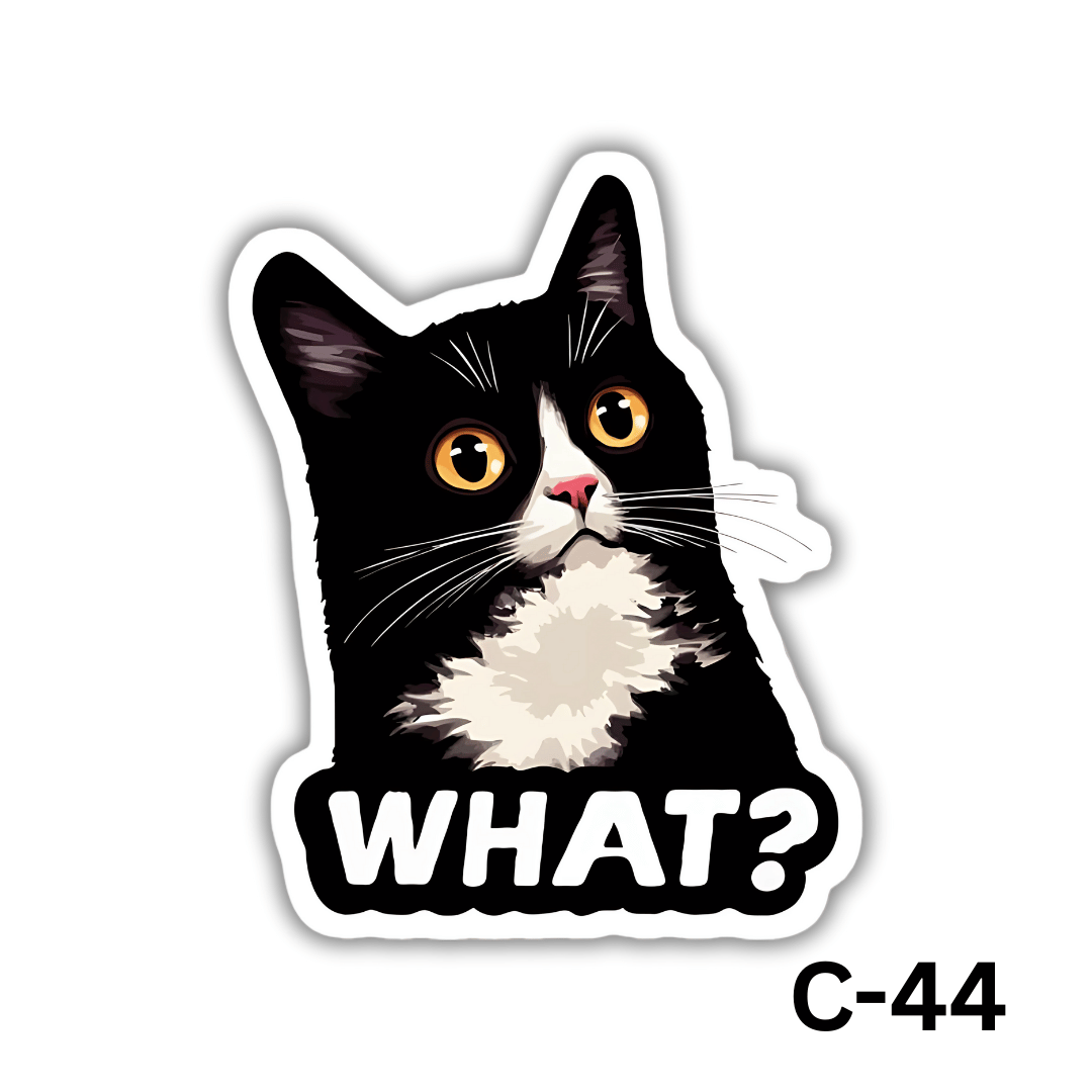 WHAT?(C-44)