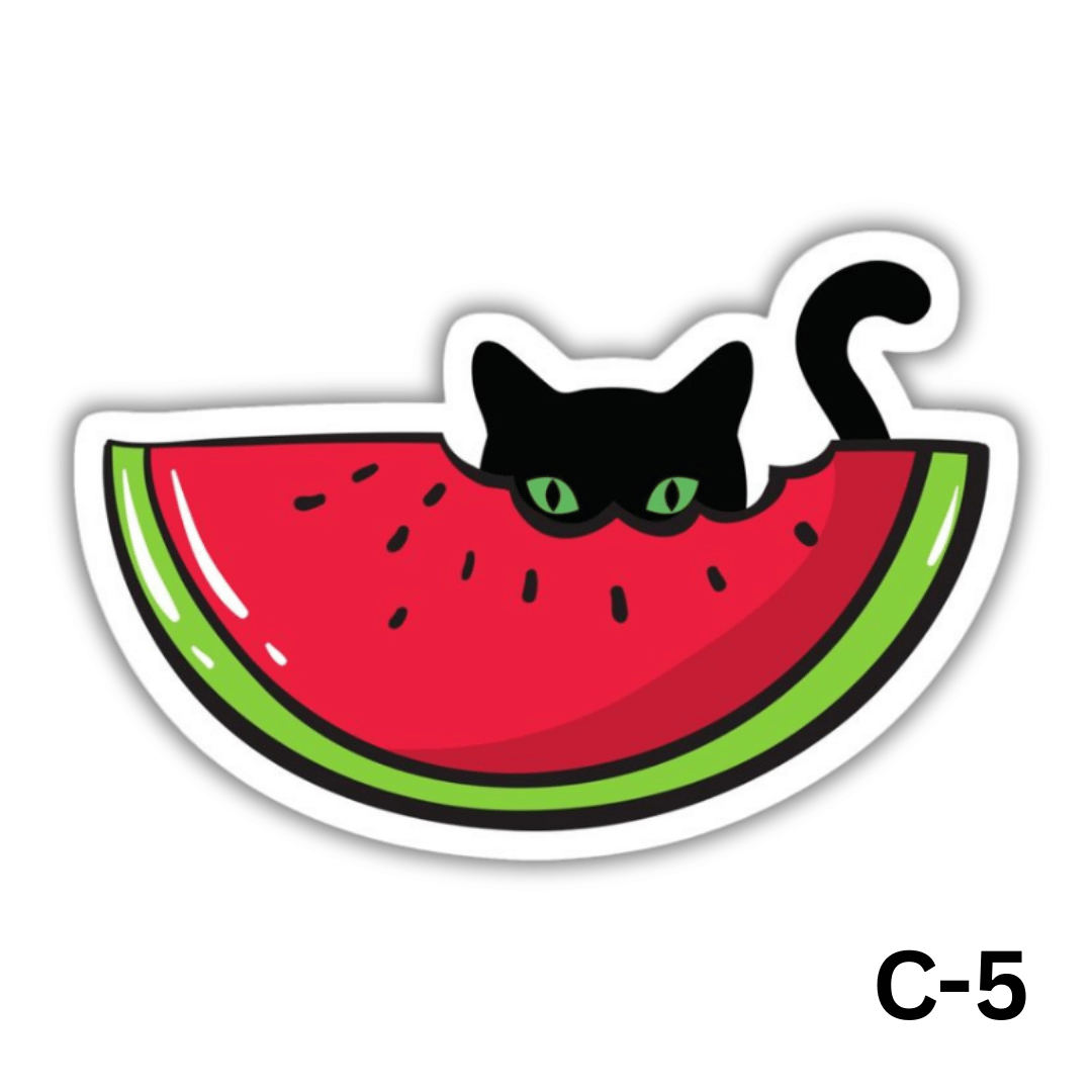 Black cat eating a watermelon(C-5)