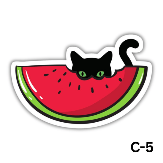 Black cat eating a watermelon(C-5)