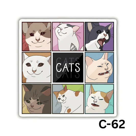 CATS(C-62)