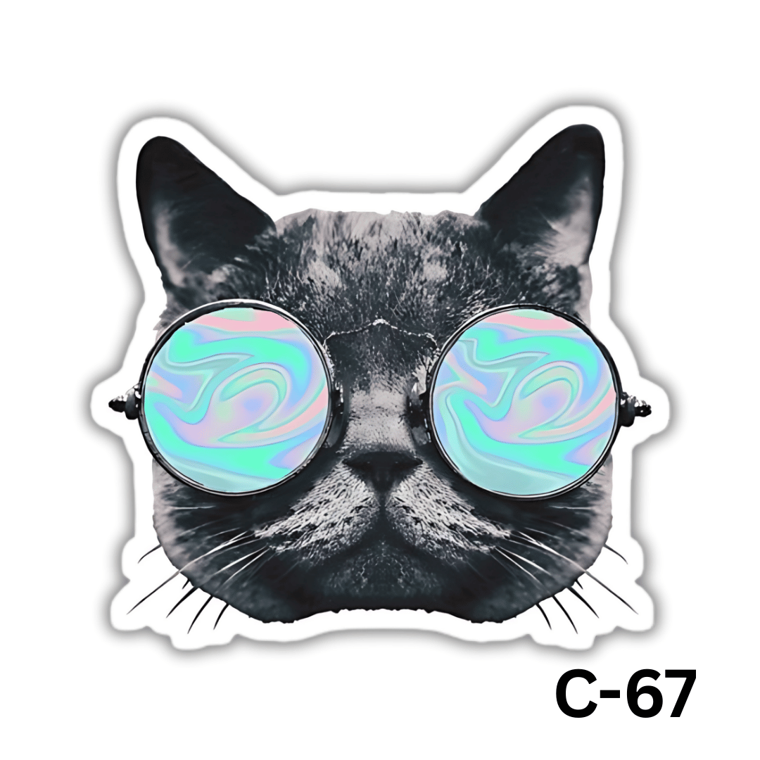 Cat with big Sunglasses(C-67)
