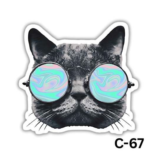 Cat with big Sunglasses(C-67)