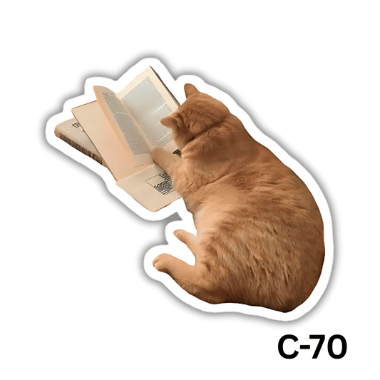 Cat reading(C-70)