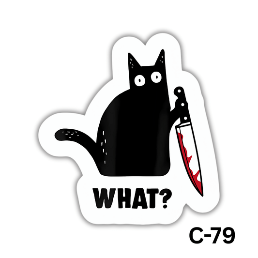 WHAT?(C-79)