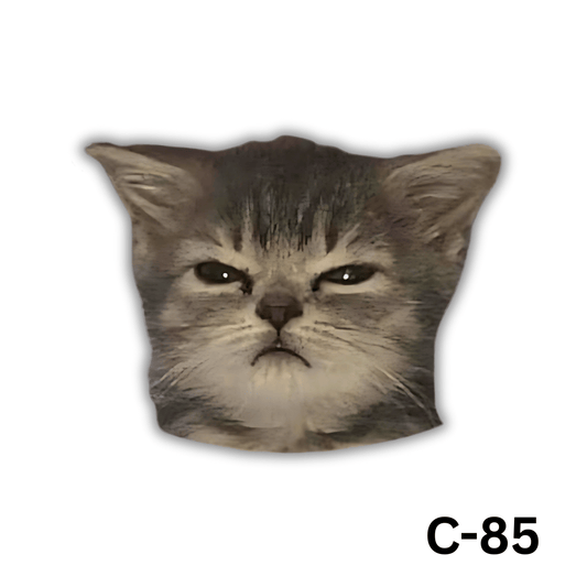 Angry Cat(C-85)