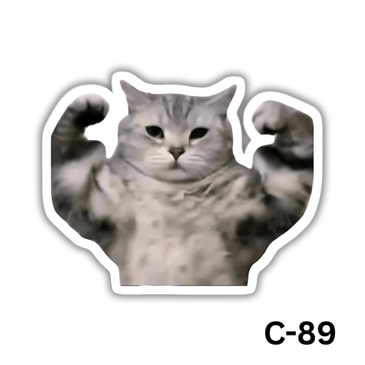 Muscular cat(C-89)