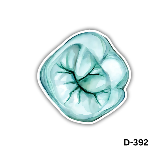 Lower 6 anatomy sticker(D-392)