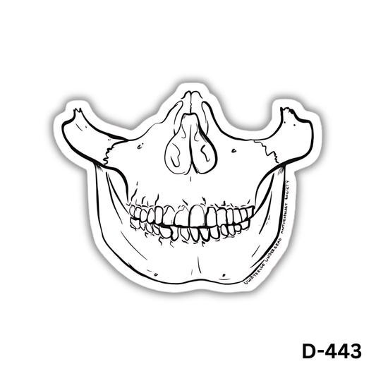 Maxillary and Mandibular Arch sticker(D-443)