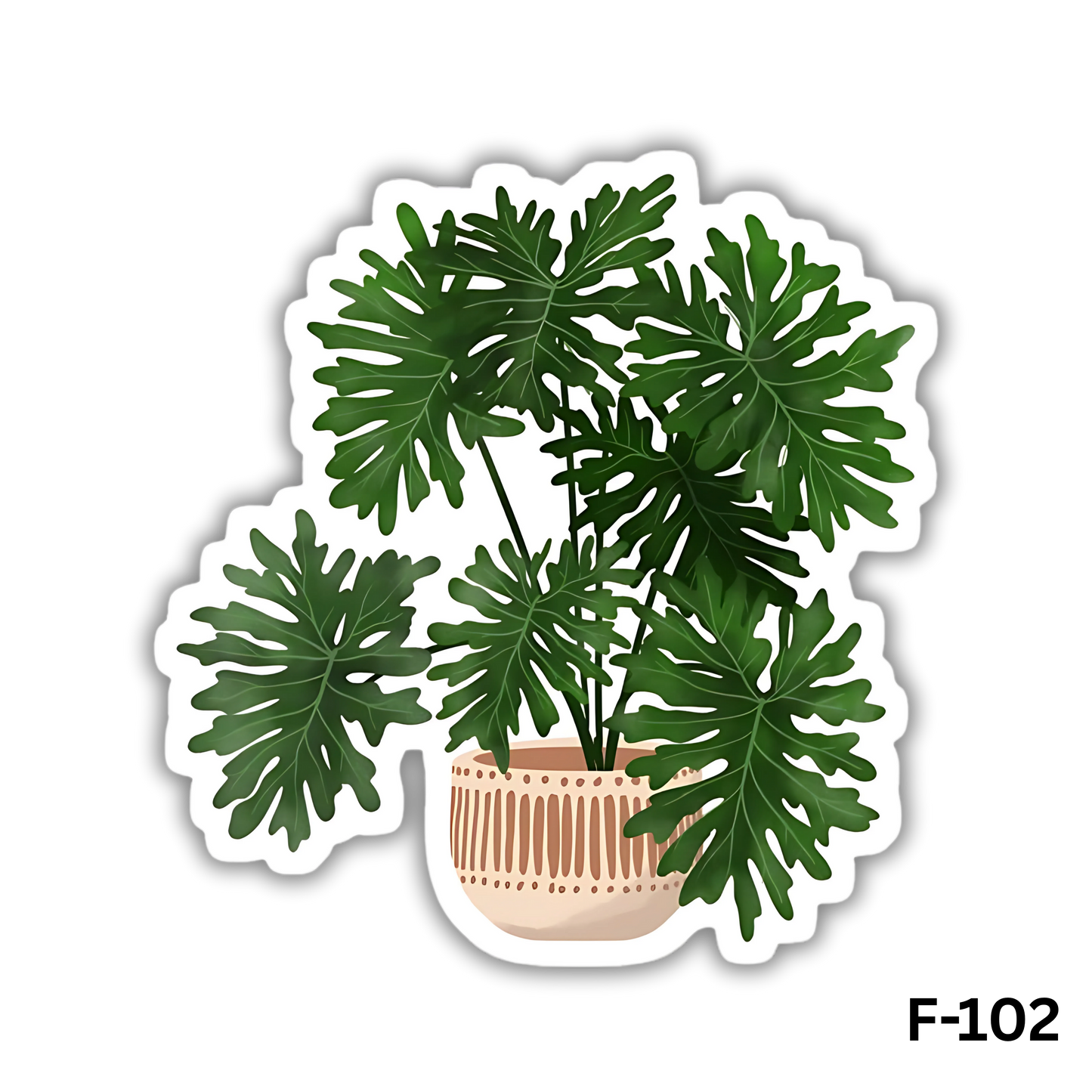 Philodendron Xanadu (F-102)