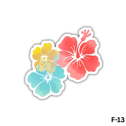 Colorful Hibiscus Flowers(F-13)