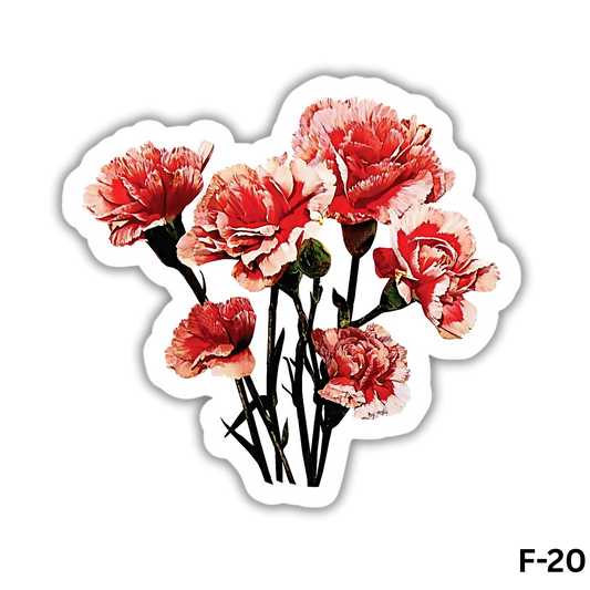 Red and Pink Carnation Flowers(F-20)