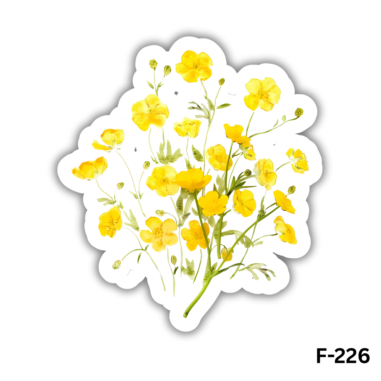 Ranunculus acris Flowers(F-226)