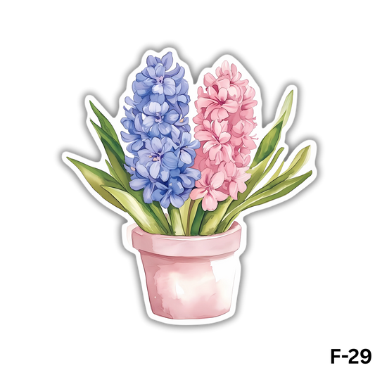 Blue and Pink Hyacinth Flowers(F-29)