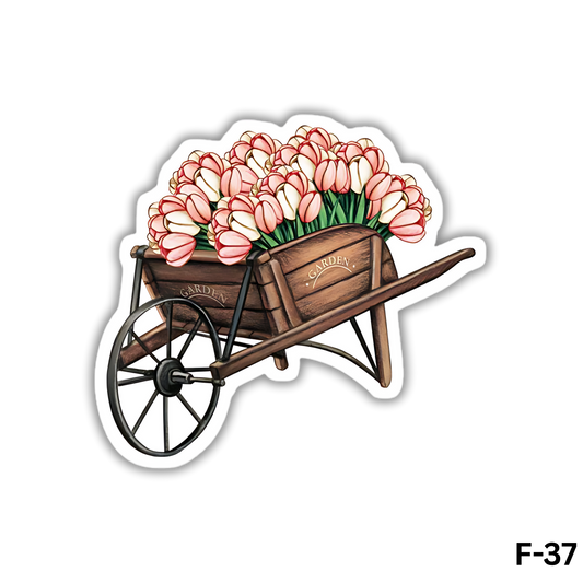 Wheelbarrow with White and Pink Tulips(F-37)