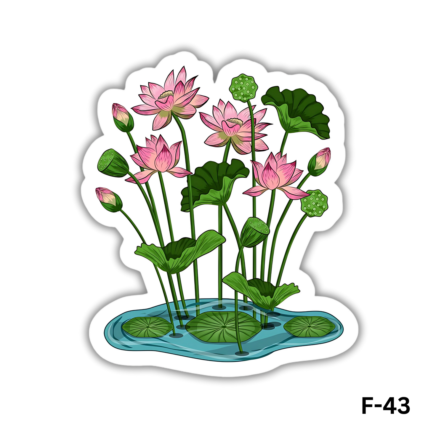 Lotus Flowers and Buds(F-43)