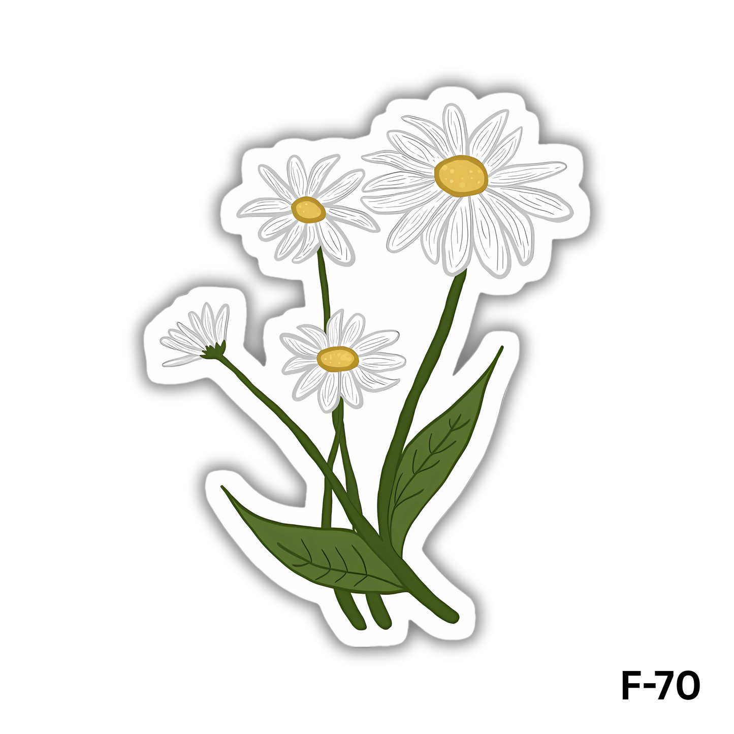 Daisy Flowers(F-70)