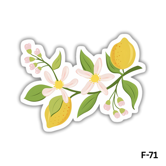 Lemon Blossom on a tree branch(F-71)