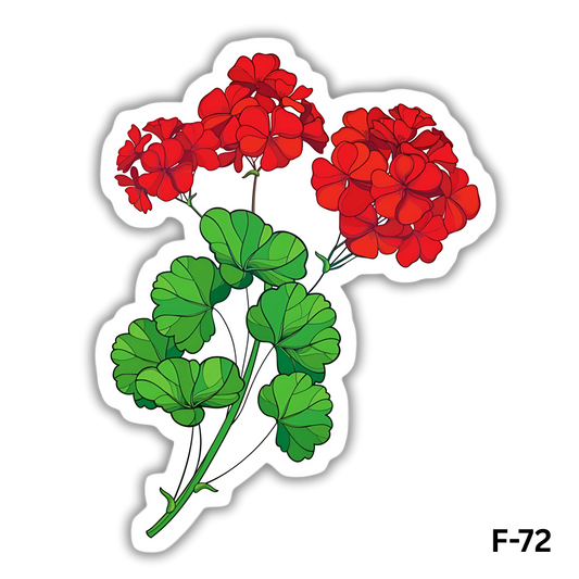 Red Geranium Flowers(F-72)