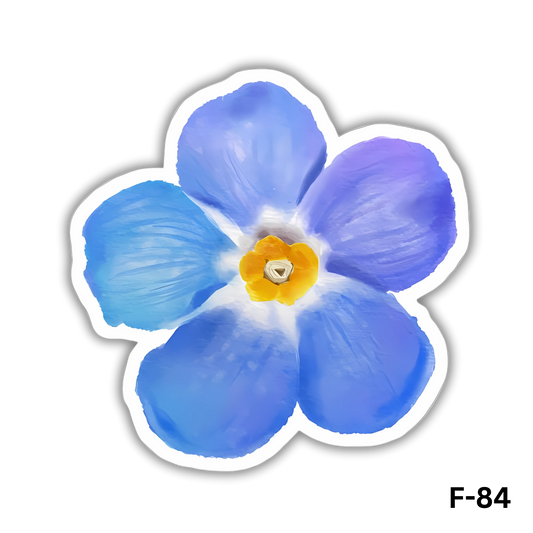 Forget-me-not flower(F-84)