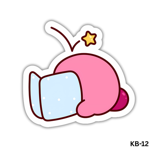 reader kirby(KB-12)
