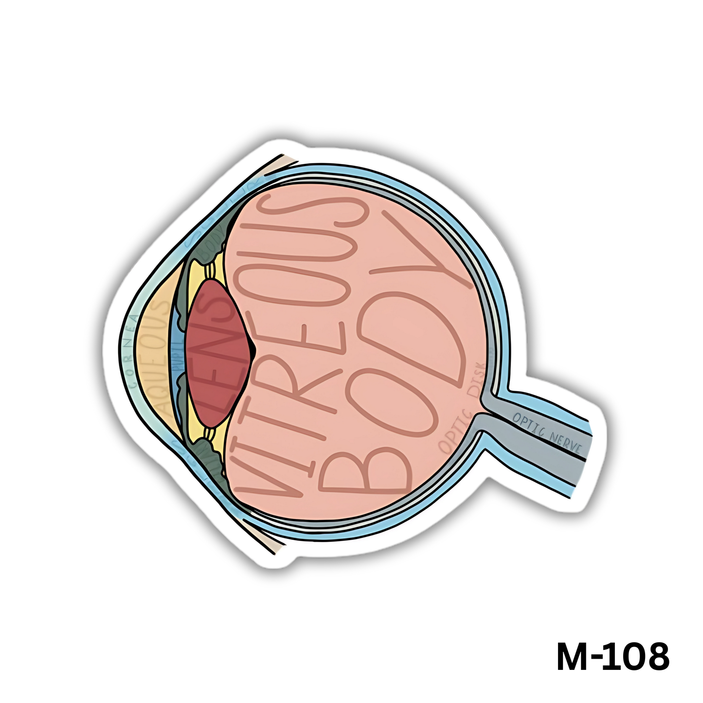 Human eye(M-108)