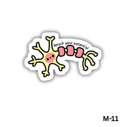 Reach your Potential(M-11)