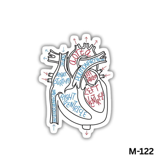 Labelled Heart(M-122)