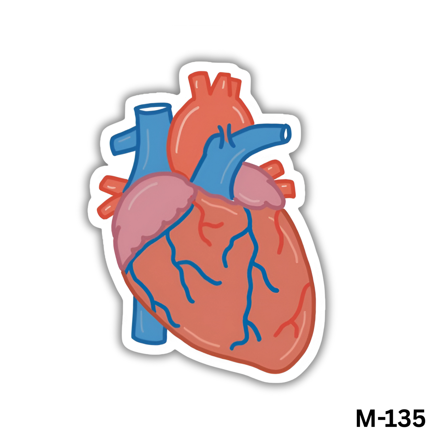 Heart(M-135)
