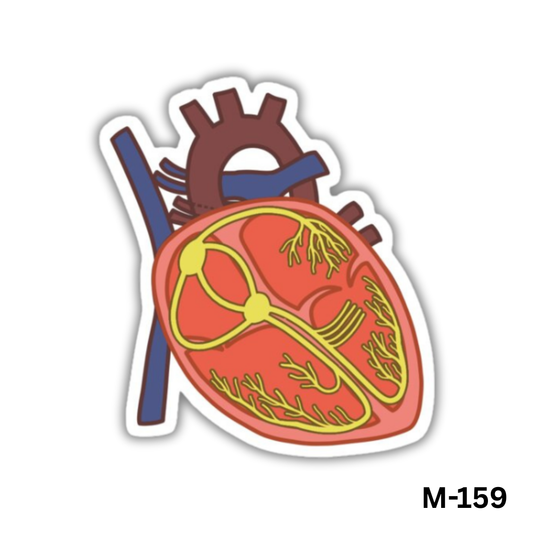 Heart(M-159)