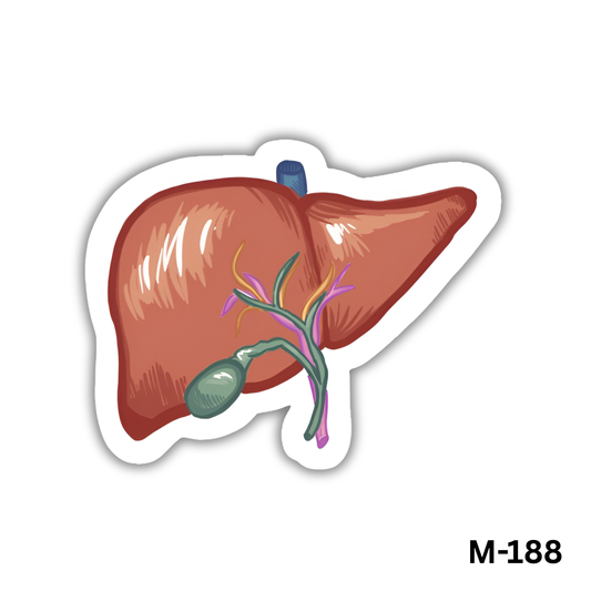 Liver(M-188)
